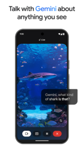 Google Gemini screenshot 4