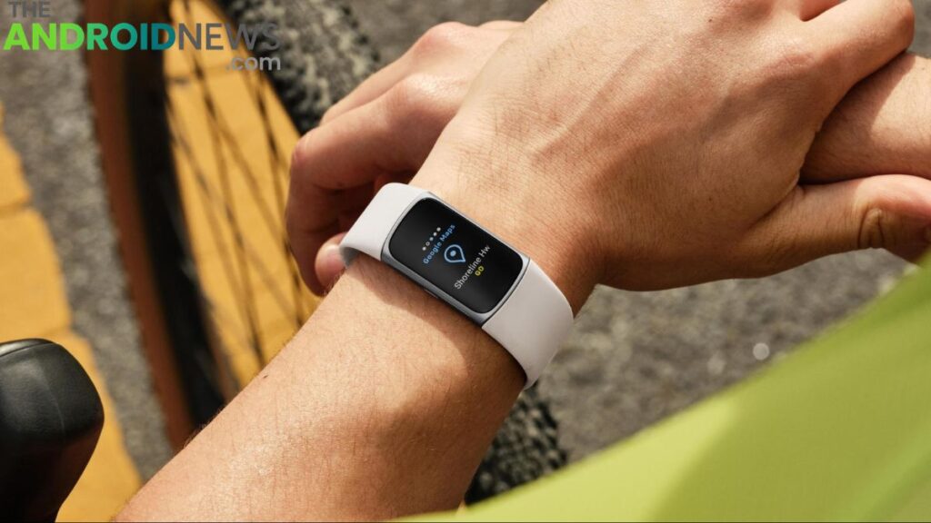 Fitness Bands for Budget-Conscious Users